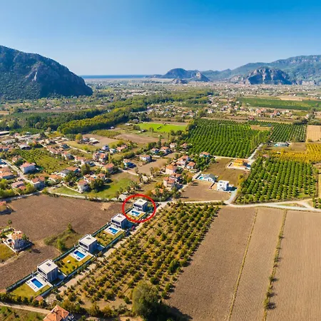 Grand Yasar 1 Okcular