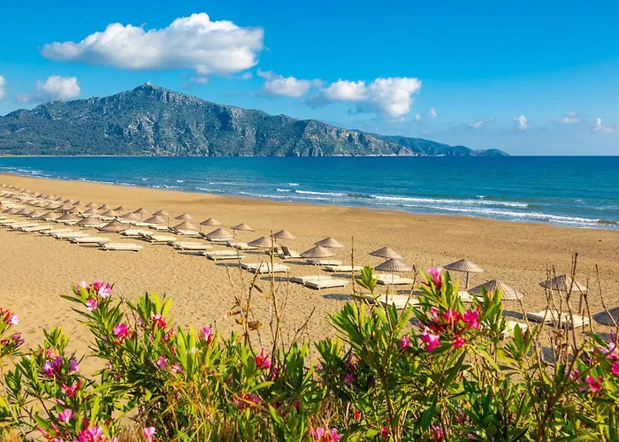 Villa Grand Yasar 1 Okcular