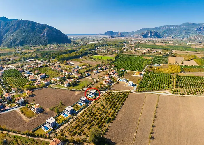 Grand Yasar 1 Okcular